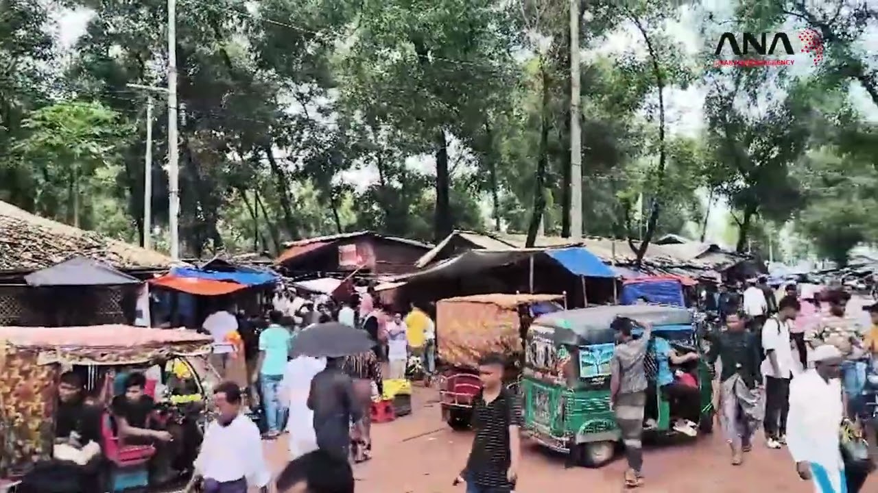 Fears Among Rohingya Over the Impact of Vehicle Movement Ban in Bangladesh Camps