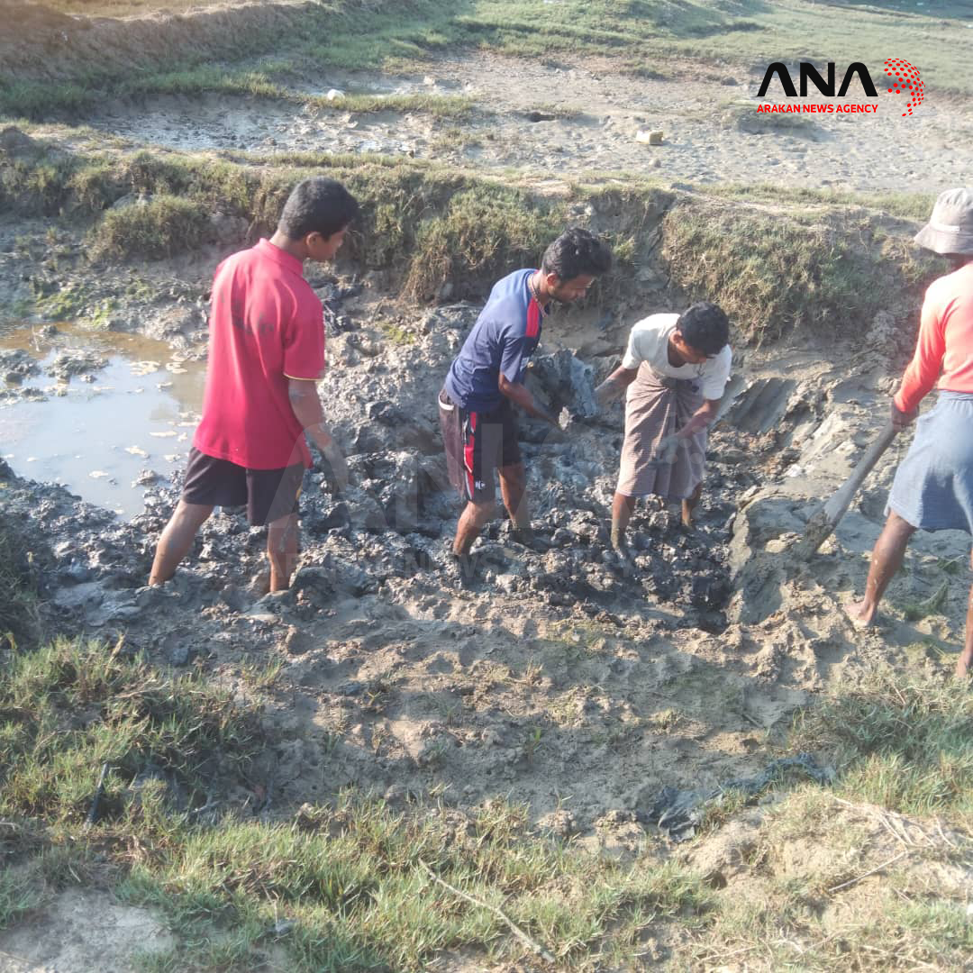 Displaced Rohingya Near Maungdaw Build Bridge from Mud and Wood