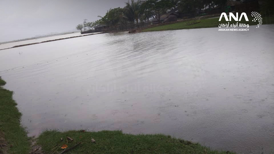 Floods sweep through Maungdaw due to heavy rains