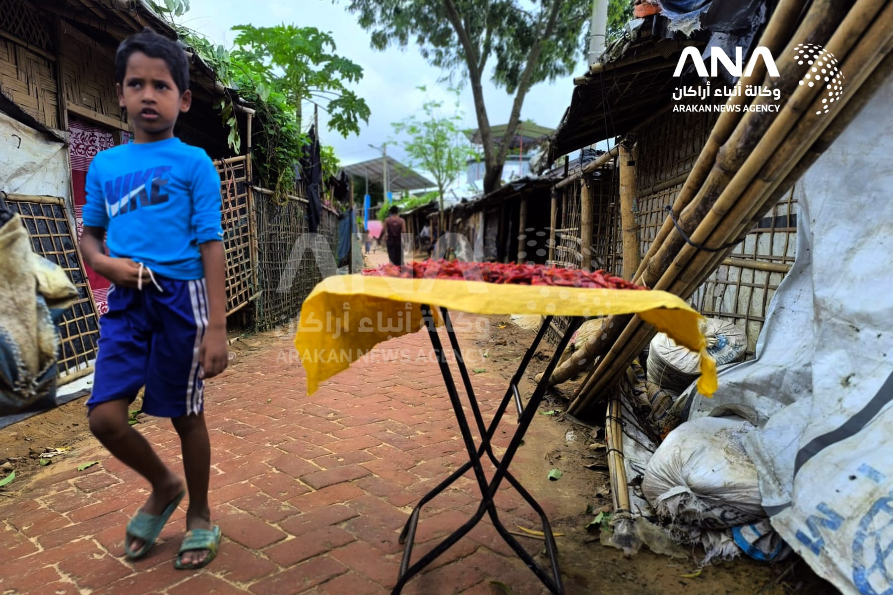 Rohingya Keep Homeland Memories Alive by Sun-Drying Chilies in Bangladesh Camps